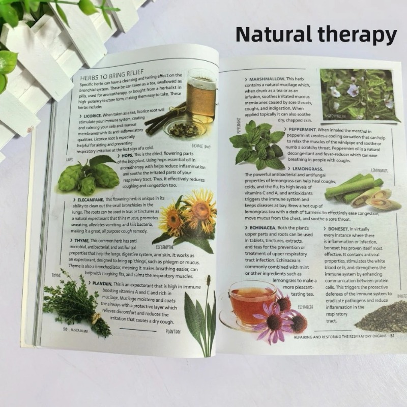 Sustain Me Barbara O'Neill คู่ - Health Wellness And Lifestyle บทวิจารณ์และราคา